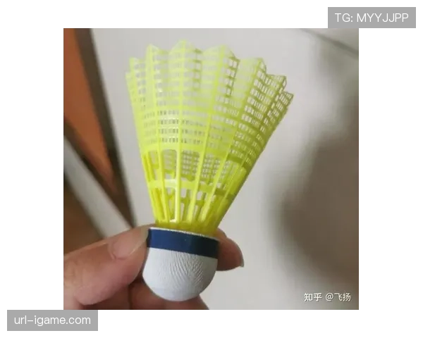 可持续性浪潮：探访使用100%回收塑料制造羽毛球的工厂